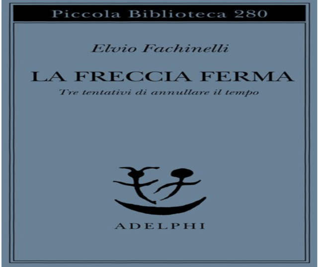 L'immagine è quella della copertina del testo la freccia ferma edizioni Adelphi